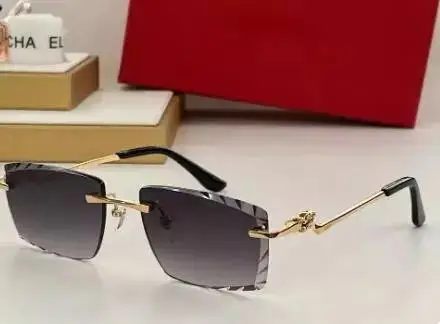 Prada Sunglasses — Paragraph 3 as shown in Figure 4 colorway — USFans Spreadsheet photo