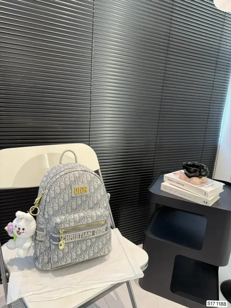Dior Travel Original Bag — 2 colorway — USFans Spreadsheet photo