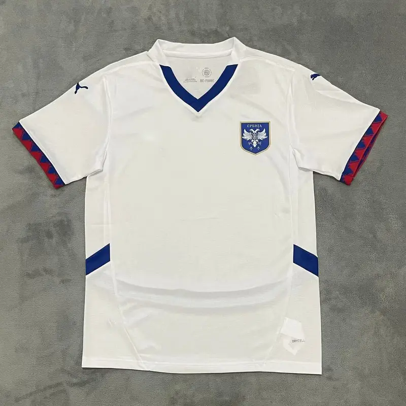 Poland Jersey 2024 (Player) — 24-25 Serbia away colorway — USFans Spreadsheet photo